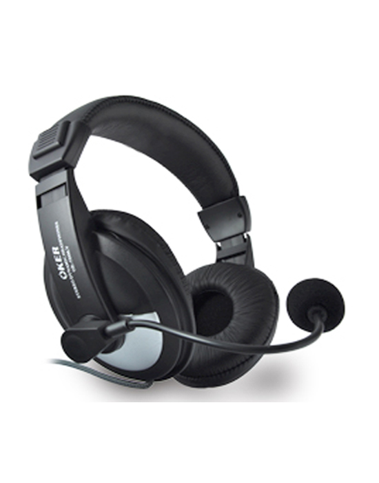 Stereo Computer Headphones with Mic 2.5 m Lead