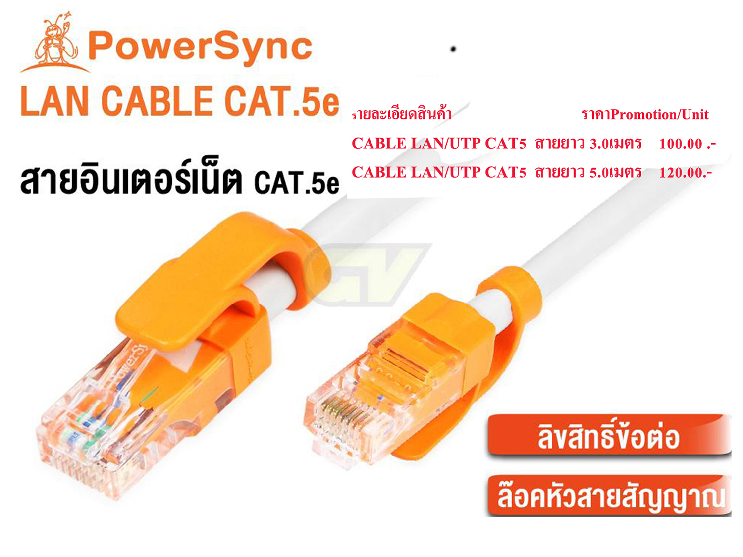 PowerSync Lan Cat5e 10Gbps